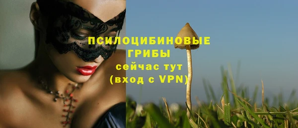бошки Аша