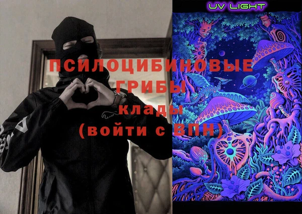 индика Ахтубинск