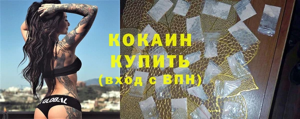 индика Ахтубинск
