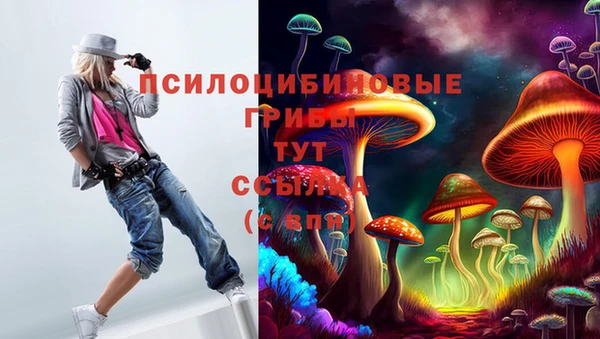 бошки Аша