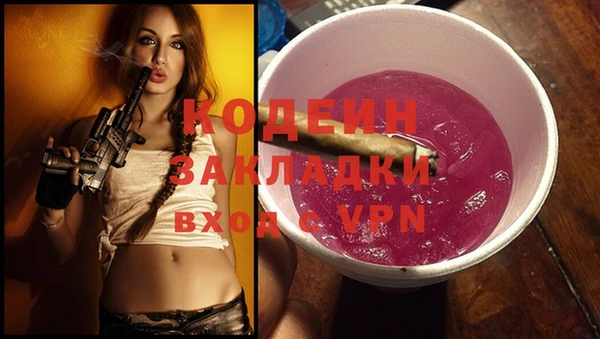 индика Ахтубинск