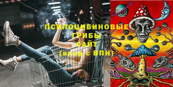 индика Ахтубинск