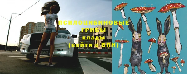 бошки Аша