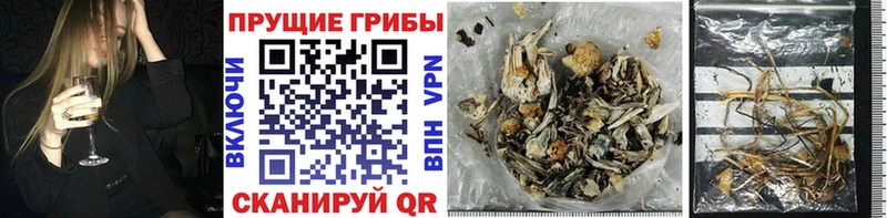 Галлюциногенные грибы GOLDEN TEACHER  Великие Луки 