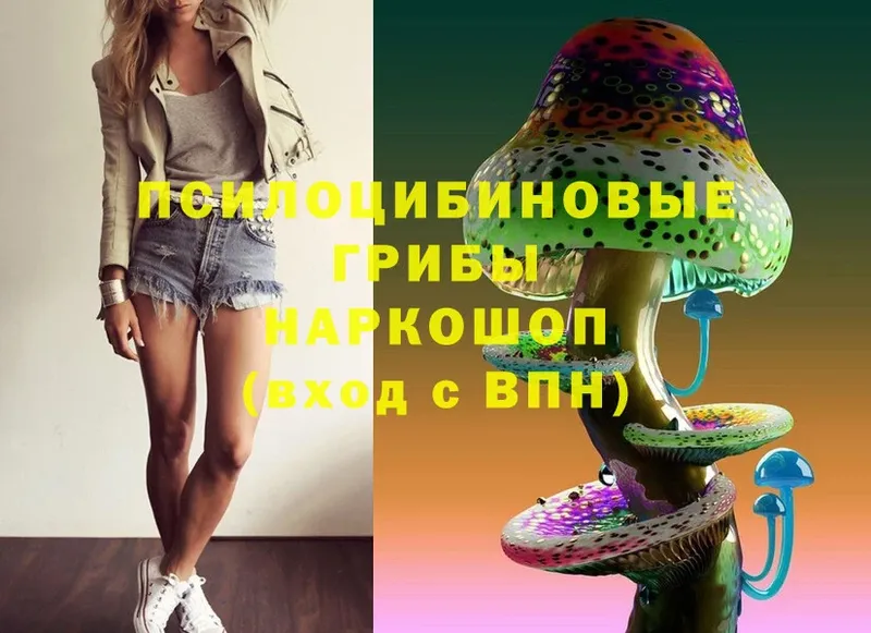 что такое   Великие Луки  Галлюциногенные грибы Psilocybe 