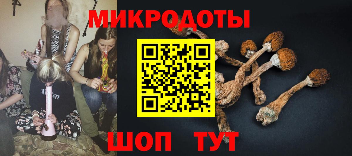 магазин    Великие Луки  Псилоцибиновые грибы ЛСД 