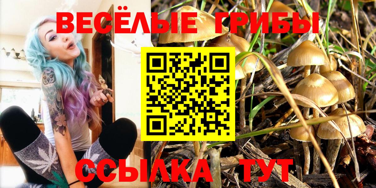 Псилоцибиновые грибы мухоморы  Псилоцибиновые грибы Magic Shrooms  Вход с VPN  Великие Луки 